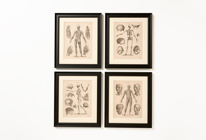 Framed Prints