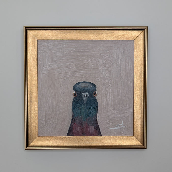 Pigeon
