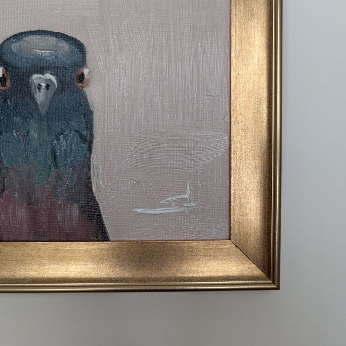 Pigeon