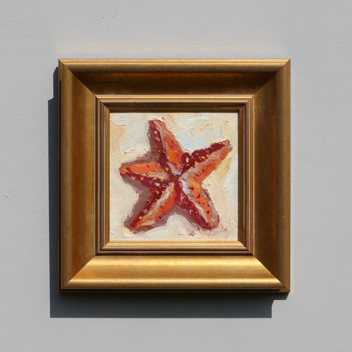 Contemporary Starfish